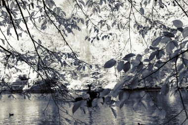 Güzel bir tarihi parkta muhteşem bir sonbahar.
