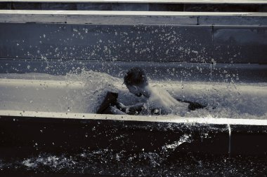 Çocuk bir slayt su park gezintisi