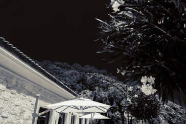 Güzel deniz resort. Yaz tatili