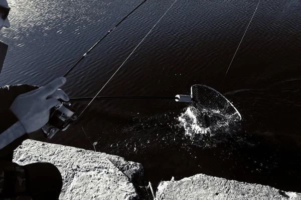 Pesca Del Luccio Sul Lago Attività Ricreative Pesca — Foto Stock