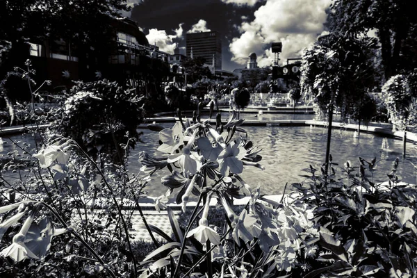 Чудовий Парк Сад Копенгагені Привабливості — стокове фото