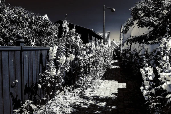美しく絵のように美しいデンマークの村 — ストック写真