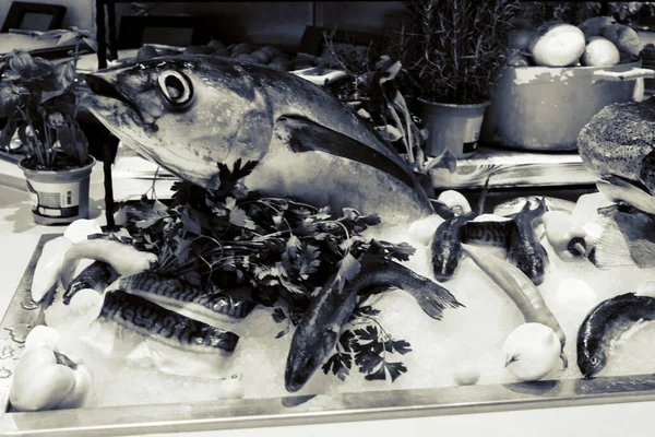Ryby Wyświetlane Restauracji — Zdjęcie stockowe