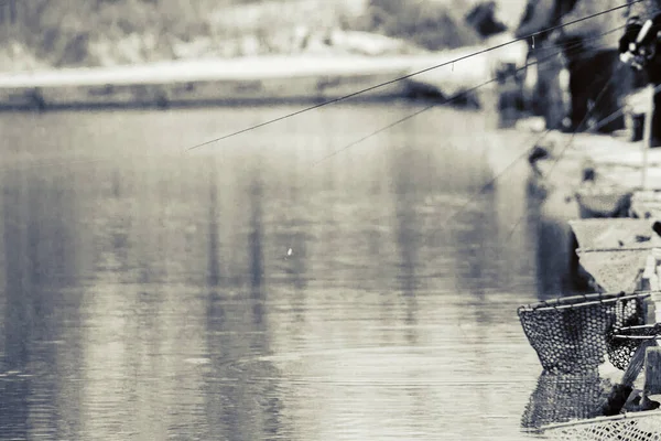 Trout Fishing Dark Background — Stock Photo, Image