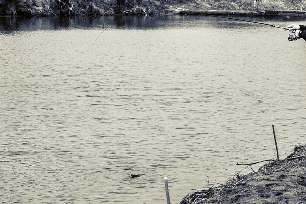 Pêche Brochet Sur Lac Loisirs Pêche — Photo