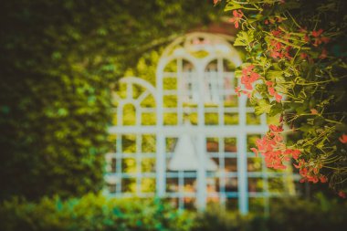 Eski Polonya şehrinin mimarisi. Pençe