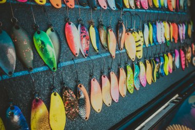 Gölde alabalık avı