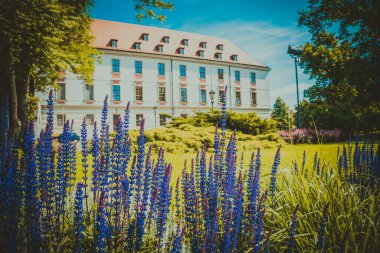 Wroclaw 'ın güzel kiliseleri. Çekicilik, Avrupa 'da seyahat