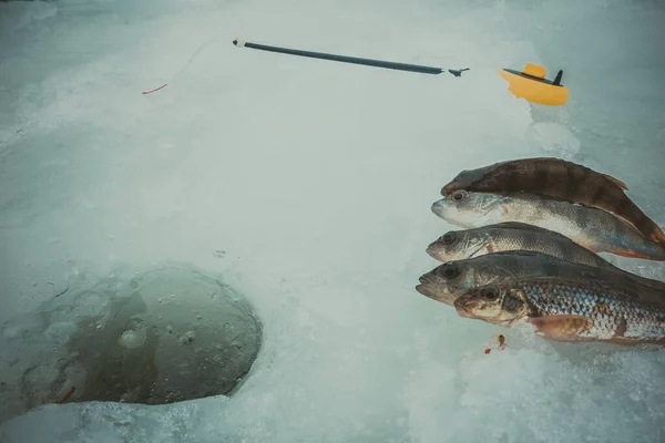 Inverno Fundo Pesca Gelo — Fotografia de Stock