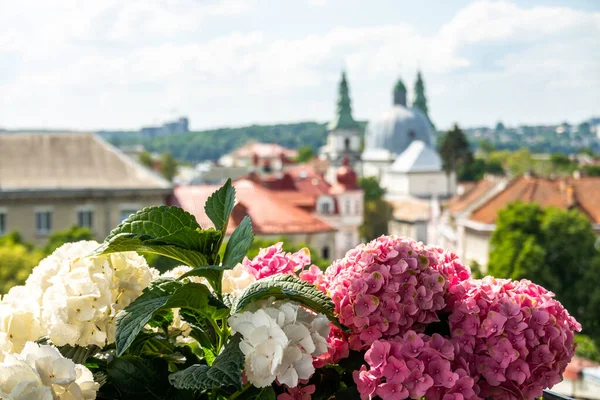 Bela Cidade Ucraniana Ternopil Ruas Ternopil — Fotografia de Stock