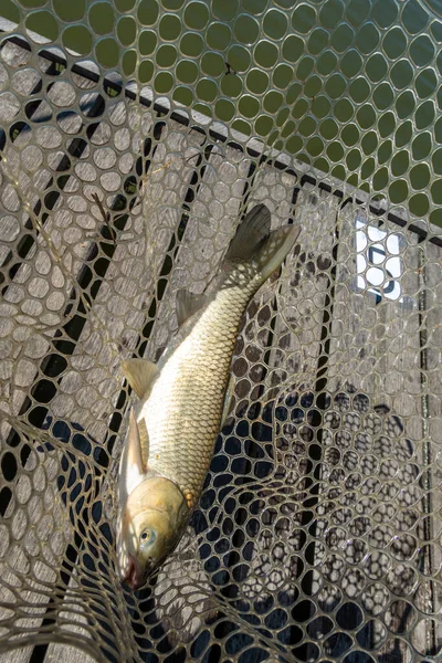 Pesca Sul Lago Riposo Fuori Città — Foto Stock