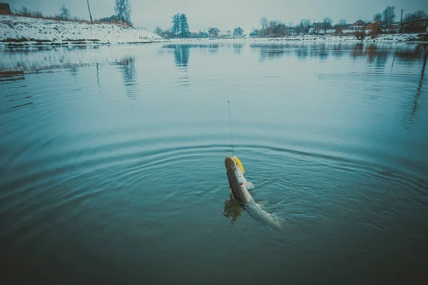 Pesca Esporte Recreação Fundo — Fotografia de Stock