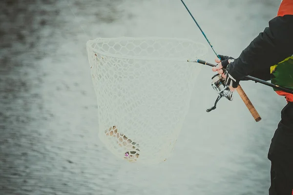 Pesca Truchas Lago — Foto de Stock