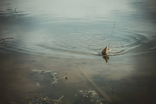 Pesca Esporte Recreação Fundo — Fotografia de Stock