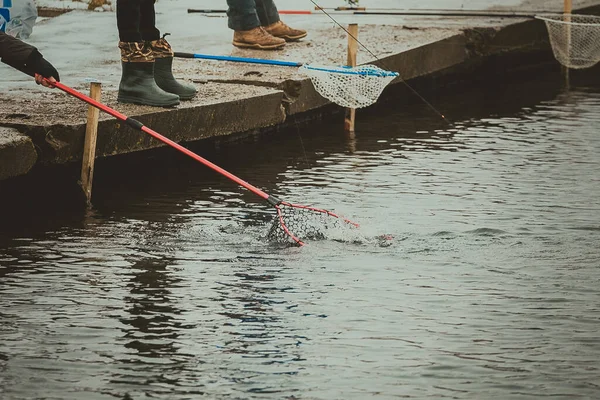 マス湖釣りの背景 — ストック写真