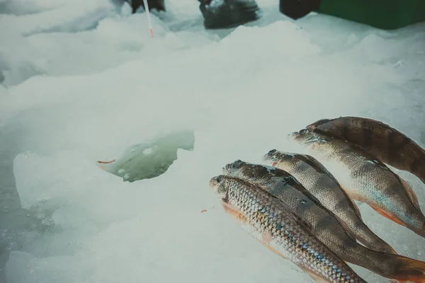 Зимний Фон Рыбалки — стоковое фото