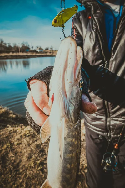 Pike Fishing Lake — Stock Photo, Image