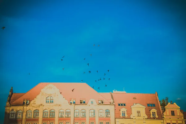 Gyönyörű Gyönyörű Utcák Wroclaw — Stock Fotó