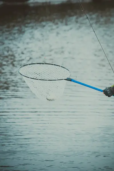 Pesca Truchas Lago — Foto de Stock