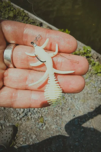 Pesca Truta Lago Pesca Recreação — Fotografia de Stock