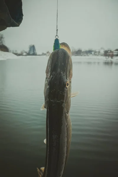 Pike Horgászik Tavon Halászati Szabadidő — Stock Fotó