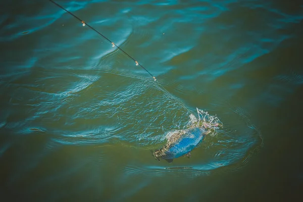 Łowienie Pstrągów Jeziorze — Zdjęcie stockowe