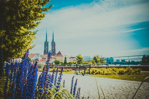 Wroclaw Gyönyörű Templomai Látványosságok Utazás Európában — Stock Fotó