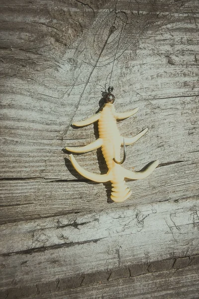 Pêche Truite Dans Lac Pêche Loisirs — Photo