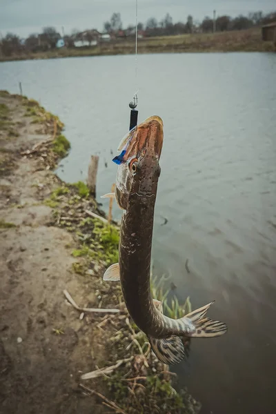 Pesca Sport Ricreazione Sfondo — Foto Stock