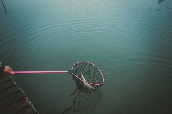 Pesca Lucio Lago —  Fotos de Stock