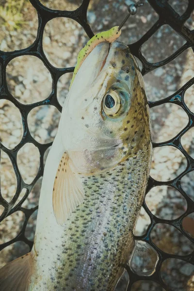 Fishing Sport Recreation Background — Stock Photo, Image