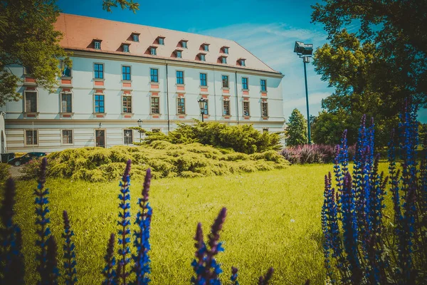 Wroclaw Güzel Kiliseleri Çekicilik Avrupa Seyahat — Stok fotoğraf