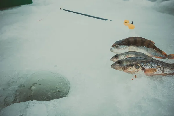 Inverno Fundo Pesca Gelo — Fotografia de Stock