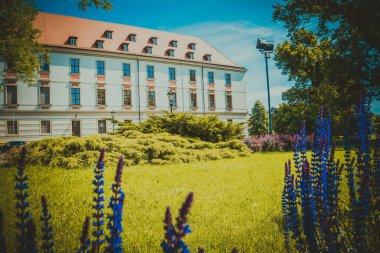 Wroclaw 'ın güzel kiliseleri. Çekicilik, Avrupa 'da seyahat