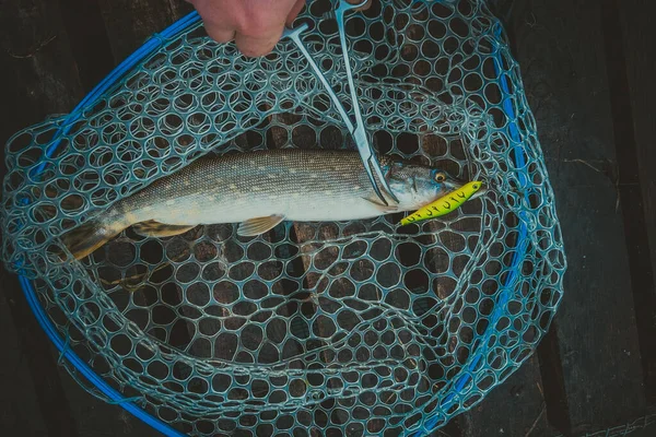 Fiske Utomhus Rekreation Sjön Bakgrund — Stockfoto