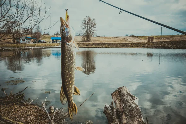 Ψάρεμα Υπαίθρια Αναψυχή Στο Φόντο Λίμνη — Φωτογραφία Αρχείου