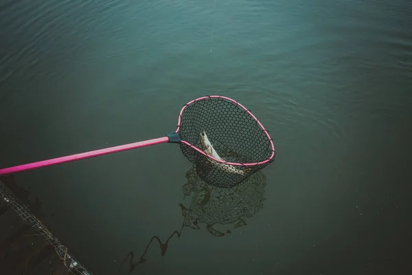 Pesca Lucio Lago —  Fotos de Stock