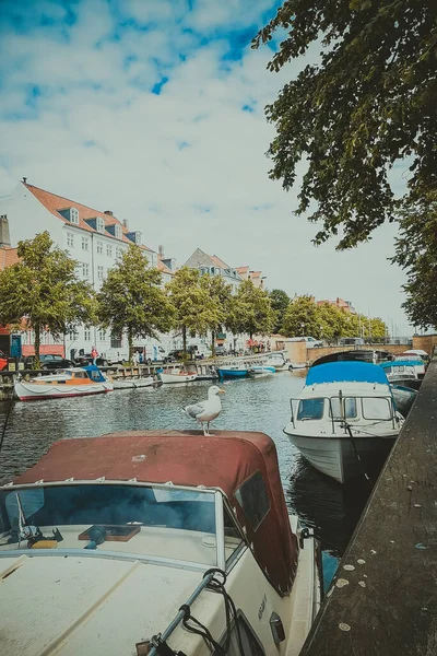 Las Calles Atracciones Copenhague Viaje Copenhague — Foto de Stock