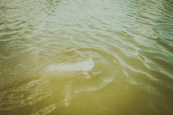 Pêche Truite Dans Lac Pêche Loisirs — Photo