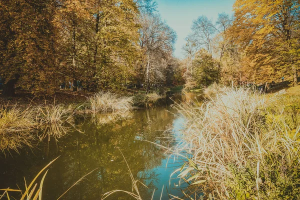 Güzel Bir Tarihi Parkta Muhteşem Bir Sonbahar — Stok fotoğraf