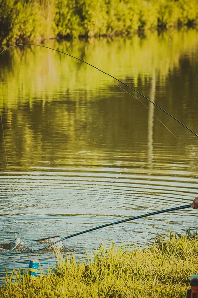 Torneo Pesca Recreación Naturaleza Fondo — Foto de Stock