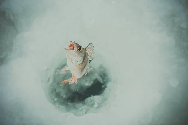 Invierno Hielo Pesca Fondo — Foto de Stock