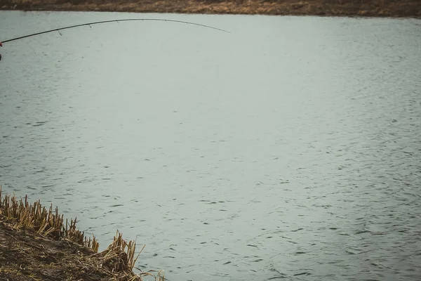 Pesca Del Luccio Sul Lago Attività Ricreative Pesca — Foto Stock