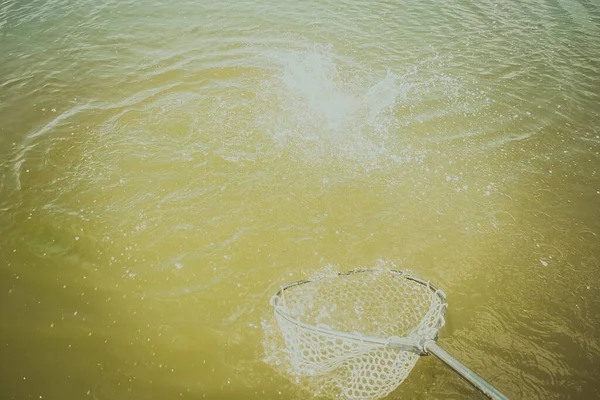 Pesca Alla Trota Nel Lago Pesca Ricreazione — Foto Stock