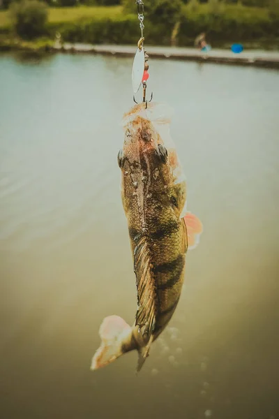 Pêche Dans Lac Nature Loisirs Fond — Photo