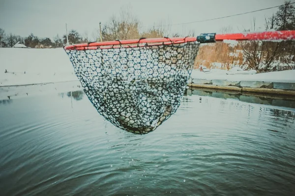 Forellenfischerei Hintergrund — Stockfoto