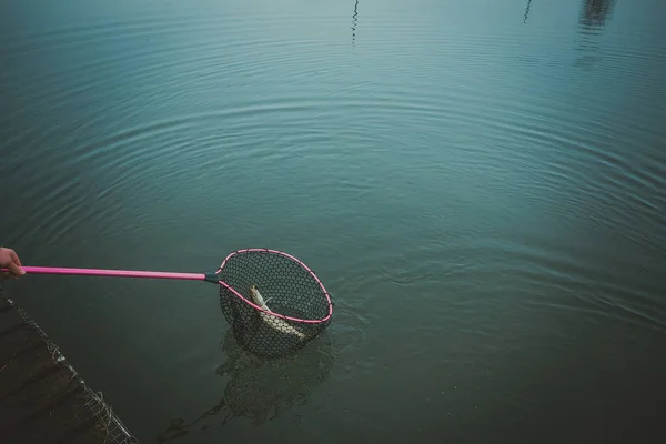 Pesca Lúcio Lago — Fotografia de Stock