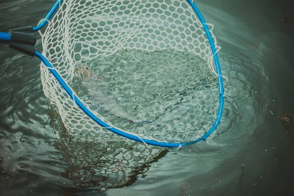 Pesca Esporte Recreação Fundo — Fotografia de Stock