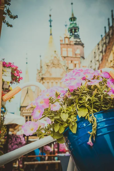 Vackert Torg Wroclaw Vackra Gamla Hus — Stockfoto