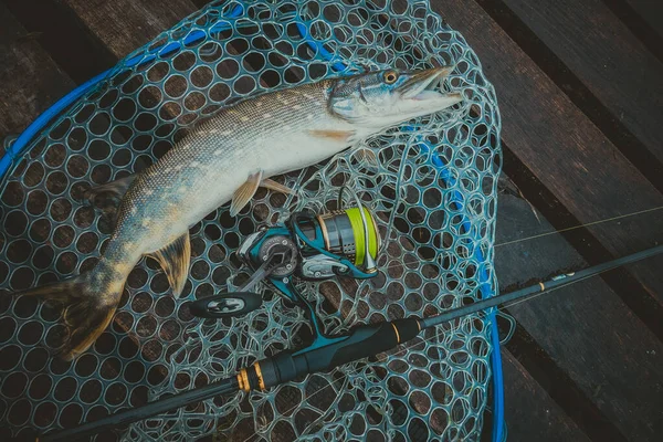 Pesca Ricreazione All Aperto Sfondo Lago — Foto Stock